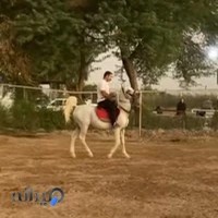 باشگاه سوارکاری عقاب