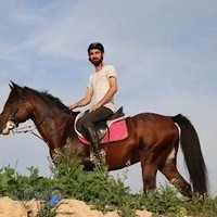 باشگاه سوارکاری دیمچه