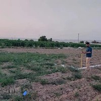 خدمات نقشه برداری