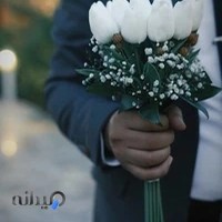 عکس و فیلم رضا اسکندری