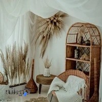 خانه تولد دنیای شادی