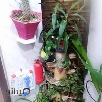 بستنی فروشی محمد