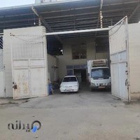 پخش بستنی راضی