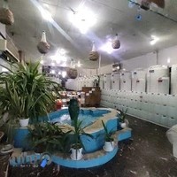 عرقیات باباکریم (قوام)