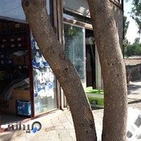 لوازم بدنه اتومبیل ایران