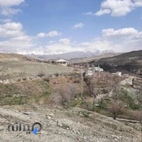 آژانس بانوی ایرانی