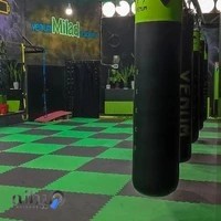 باشگاه ورزشی میلاد