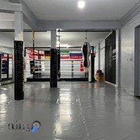 آکادمی ورزشهای رینگی حسین دلشاد