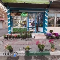 سبزی خرد کنی برگ سبز تازه
