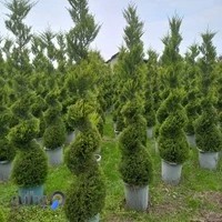 نهالستان و فروشگاه چمن مصنوعی جهان