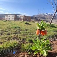 دانشکده فنی و حرفه ای پسران دورود