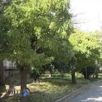 بیمارستان هفت تیر دورود