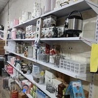 پلاسکو ایرانیان