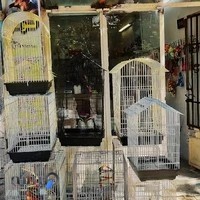 پت شاپ لوسی