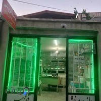 مغازه پرنده فروشی ققنوس