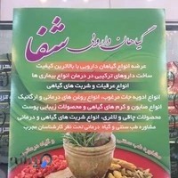 عطاری شفا