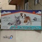 پت شاپ و کلینیک دامپزشکی جام جم