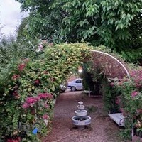 عکاسی اراعکس