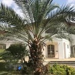 موسسه زبان انگلیسی سیمین ساری - شعبه معلم