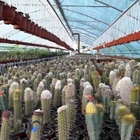 مجتمع تولیدی گل و گیاه فیلی رامسر