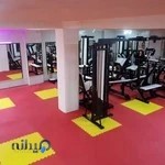 آکادمی ورزشی پوریا