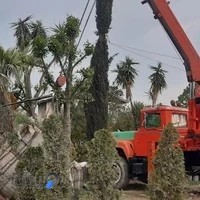 جرثقیل ناسیونال