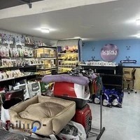 پت شاپ کوآلا