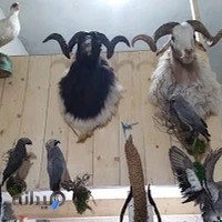 صنایع دستی ضیا