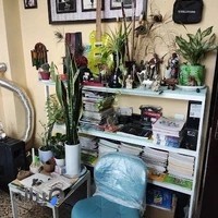 هنرکده موسیقی مفرد