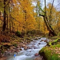 خیابان طبیعت