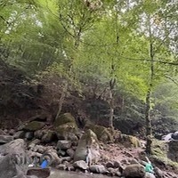 رستوران صفارود (مازیار)