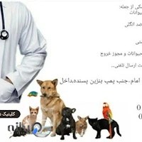 کیلینیک دامپزشکی دکتر صلاحچی