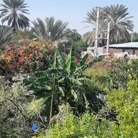 چشمه آب گرم معدنی درمانی موزه مادرشاه سابق