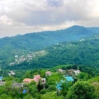 کلبه جنگلی صادقی