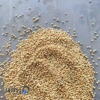 دان پرندگان حدادی