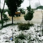 شرکت حمل و نقل کمپرسی داران ساری