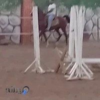 باشگاه سوارکاری رخش سعادت