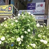 بیمه سامان نمایندگی کد 6138 خلیلیان
