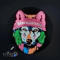 چاپ پوشاک آریا