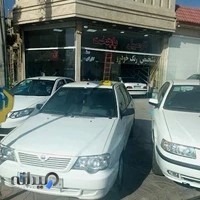 (دولتی) کارشناسی و تشخیص رنگ خودرو