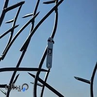 حفاظ شاخ گوزنی دژهود