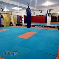 باشگاه ورزشی آراد