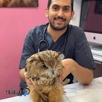 دامپزشکی پرندگان طوطی وت