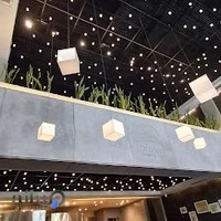 فست فود اورجینال فود