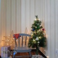 اتلیه عکس و فیلم نگاه نو