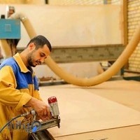 رادیکال چوب