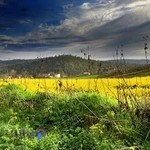 شرکت آب و فاضلاب استان مازندران