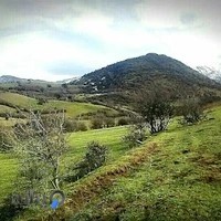 فست فود باران