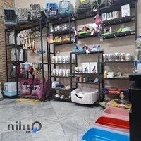 کلینیک دامپزشکی پیوت | PVet Veterinary Clinic
