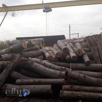 چوب فروشی حاج عسگر کرامت